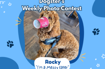 I’m a Messy Eater (March 26, 2026) – Dogst...